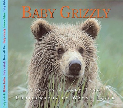 Baby grizzly / text by Aubrey Lang ; photography by Wayne Lynch.