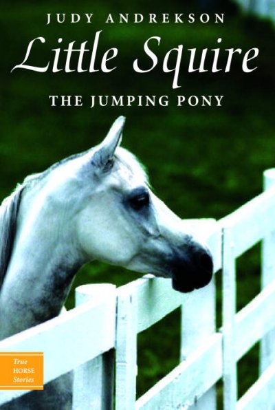 Little Squire : the jumping pony / by Judy Andrekson ; illustrations by David Parkins.