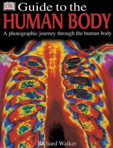 DK guide to the human body : [a photographic journey through the human body] / Richard Walker.