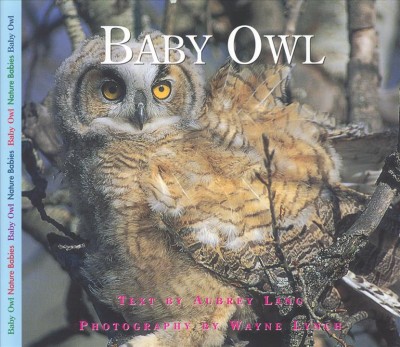 Baby owl / text by Aubrey Lang ; photography by Wayne Lynch.