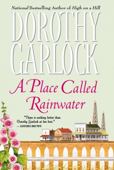 A place called Rainwater / Dorothy Garlock.
