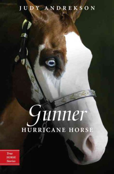 Gunner : hurricane horse / by Judy Andrekson ; illustrations by David Parkins.