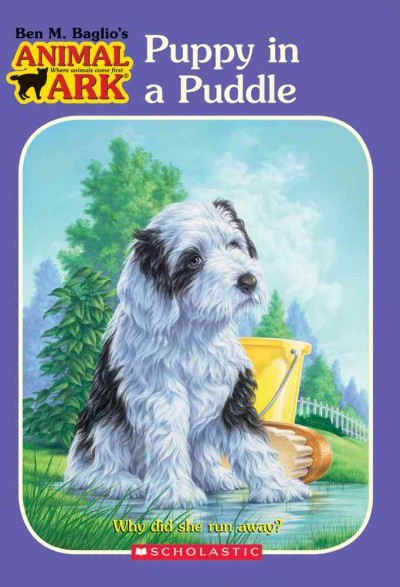 Puppy in the Puddle [book] / Ben M. Baglio.