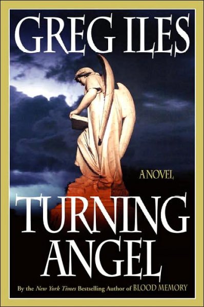 Turning angel / Greg Iles.