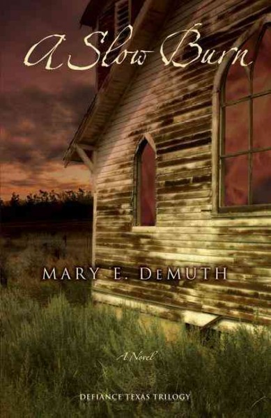A slow burn / Mary E. DeMuth.