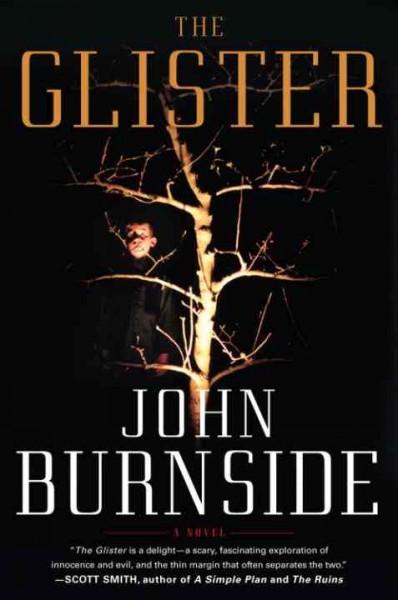 The glister [electronic resource] : a novel / John Burnside.