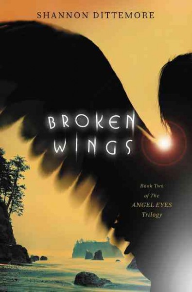 Broken wings / Shannon Dittemore.