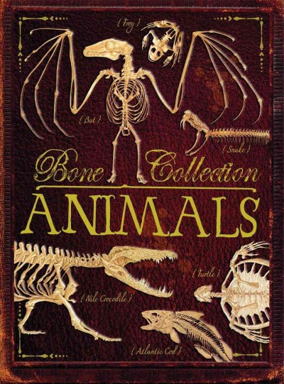 Bone collection : animals / written by Rob Colson ; illustrated by Sandra Doyle, Elizabeth Gray, and Steve Kirk.