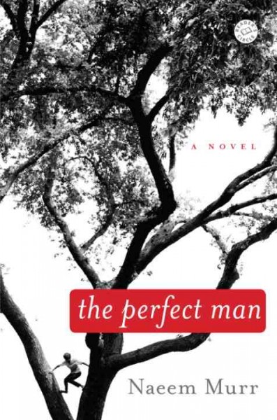 The perfect man [electronic resource] : a novel / Naeem Murr.