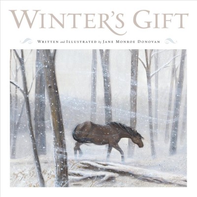 Winter's gift / written and illustrated by Jane Monroe Donovan.