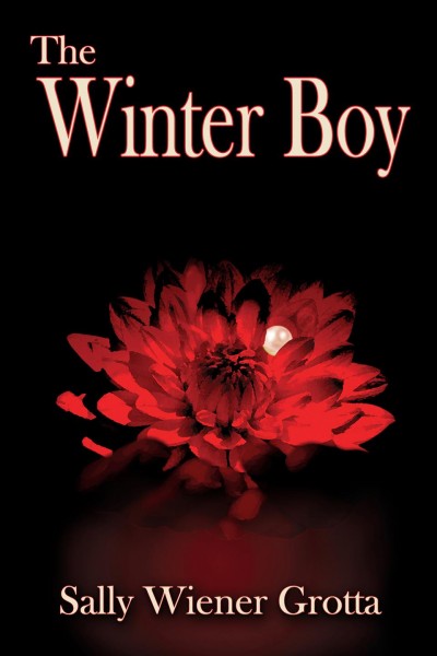 The winter boy / by Sally Wiener Grotta.