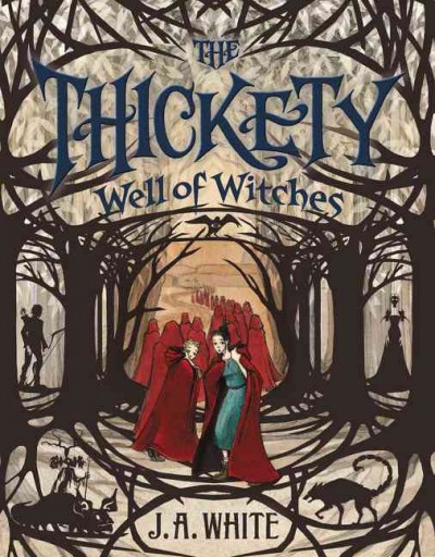 Well of witches / J.A. White ; illustrations by Andrea Offermann.