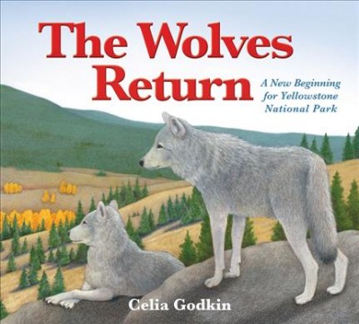 The wolves return : a new beginning for Yellowstone National Park / Celia Godkin.