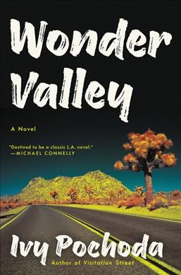 Wonder valley / Ivy Pochoda.