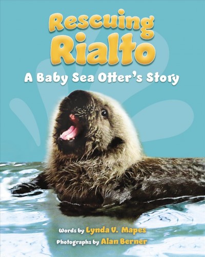 Rescuing Rialto : a baby sea otter's story / words by Lynda V. Mapes ; photographs by Alan Berner.