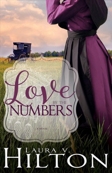 Love by the numbers / Laura V. Hilton.