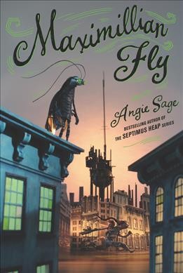 Maximillian Fly / Angie Sage.