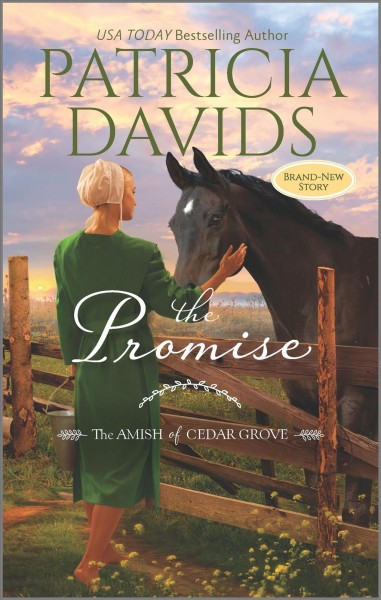 The Promise / Patricia Davids.