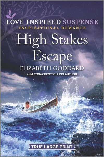 High stakes escape [large print] / Elizabeth Goddard.