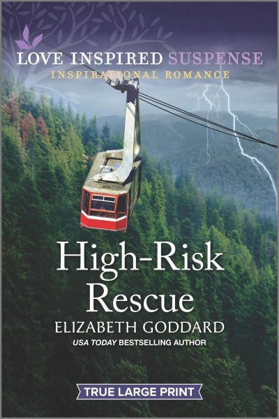 High-risk rescue [large print] / Elizabeth Goddard.