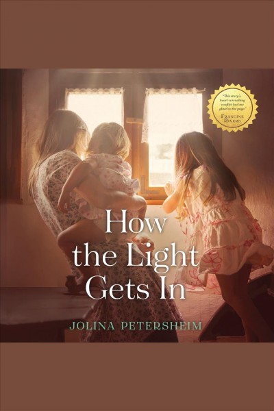 How the light gets in [electronic resource]. Jolina Petersheim.