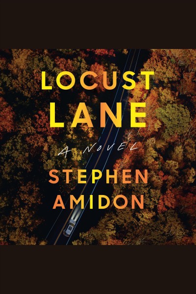 Locust lane [electronic resource] : A novel. Stephen Amidon.