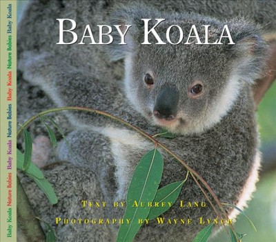 Baby koala / text by Aubrey Lang ; photography by Wayne Lynch.