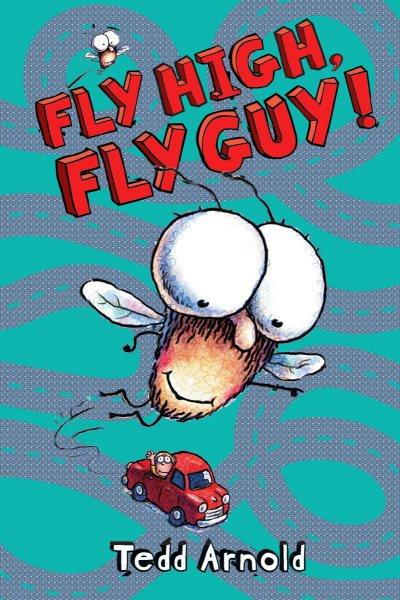 Fly high, fly guy! / Tedd Arnold.