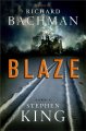 Blaze : a novel  Cover Image