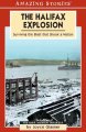 The Halifax explosion : surviving the blast that shook a nation  Cover Image