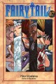Fairy tail. 17  Cover Image