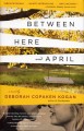 Between here and April a novel  Cover Image