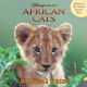 African cats : a lion's pride  Cover Image