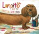 Lumpito and the painter from Spain  Cover Image