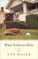 What follows after : a novel  Cover Image