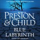 Blue labyrinth  Cover Image