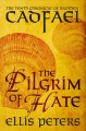 The pilgrim of hate  Cover Image