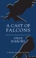 A cast of falcons  Cover Image