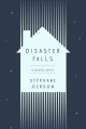 Disaster Falls : a family story  Cover Image