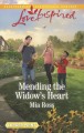 Mending the Widow's Heart  Cover Image