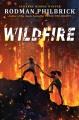 Wildfire : a novel  Cover Image