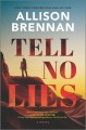 Tell no lies : a novel  Cover Image