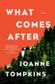 What comes after : a novel  Cover Image