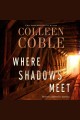 Where shadows meet A romantic suspense novel. Cover Image