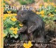 Baby porcupine  Cover Image