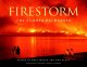 Firestorm : the summer B.C. burned  Cover Image