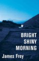 Bright shiny morning  Cover Image