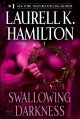 Go to record Swallowing darkness : a novel